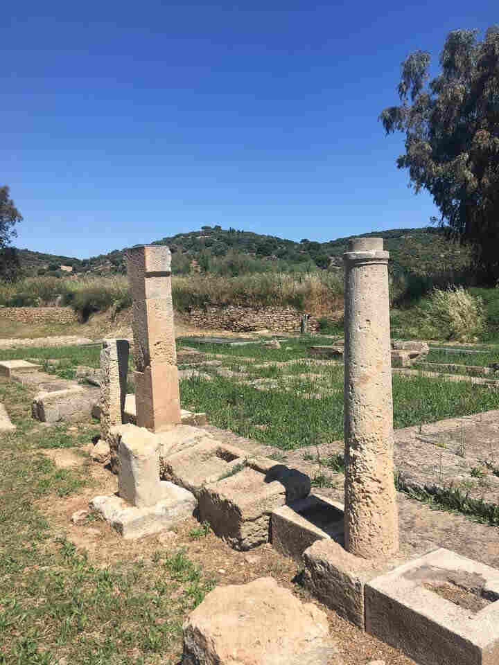 A day tour at Artemis Sanctuary in Vravrona - Attica - Gastronomy Tours Artemis Santuary Vravrona 3 1 - Gastronomy Tours